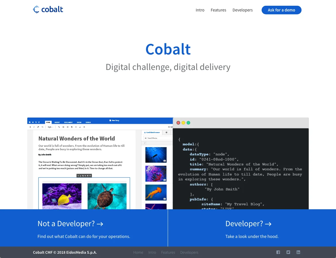 The website.